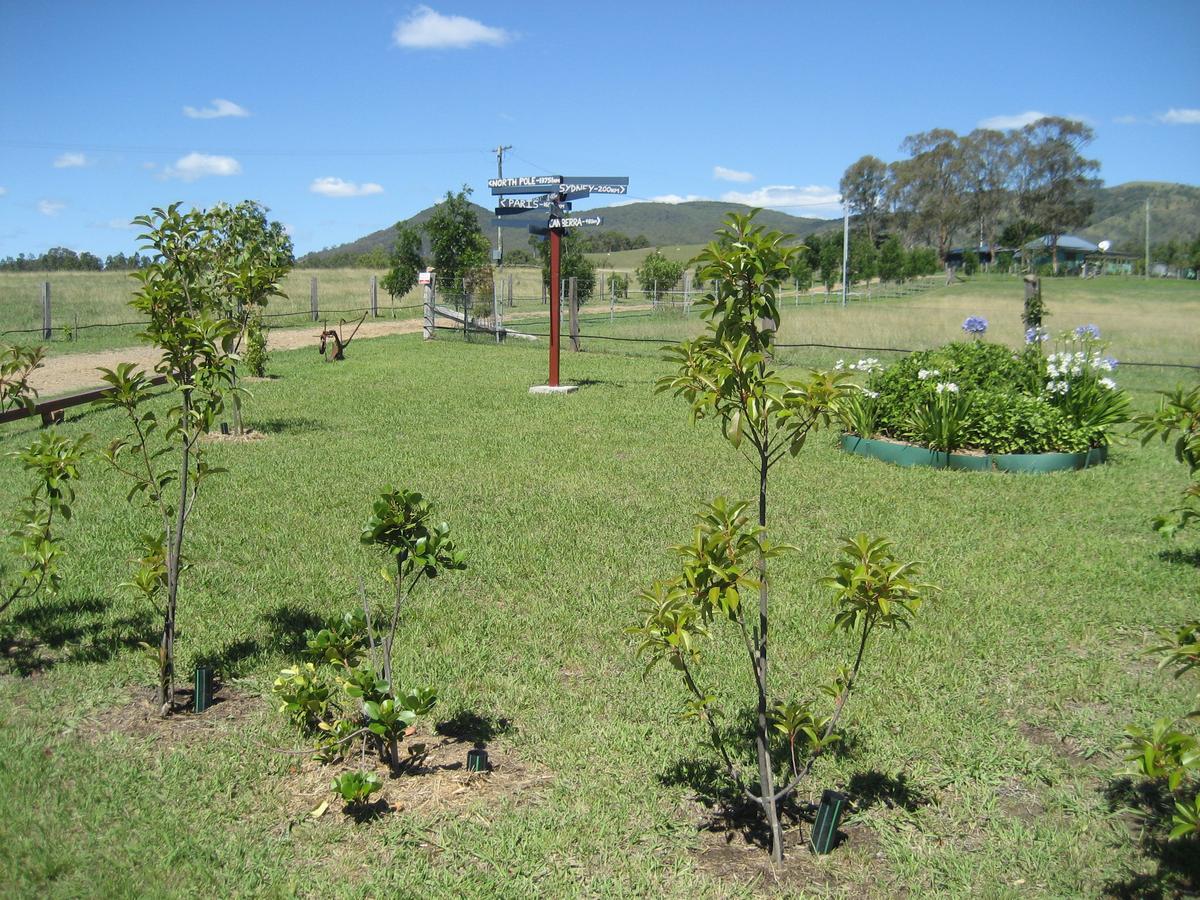 The Wattle Lodge Glendon Brook Esterno foto