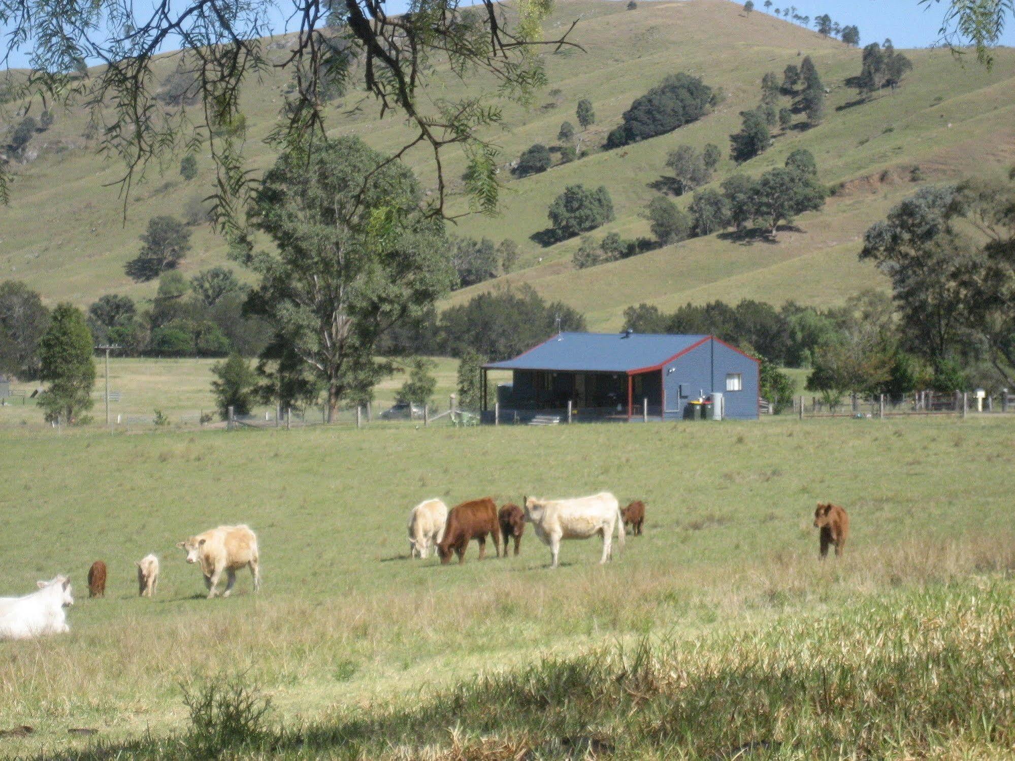 The Wattle Lodge Glendon Brook Esterno foto