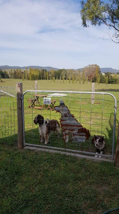 The Wattle Lodge Glendon Brook Esterno foto